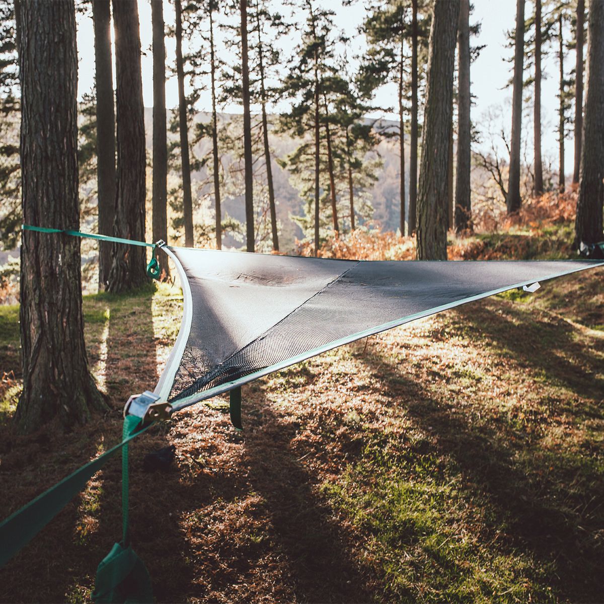 Tips and Tricks in Using Your Tentsile Tree Tent Take More Adventures