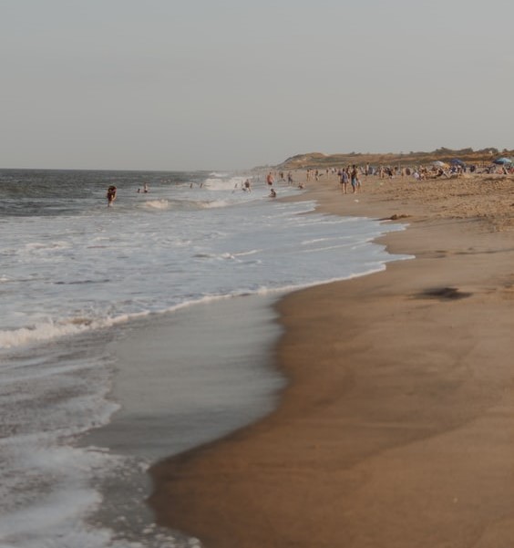 Cape Henlopen State Park