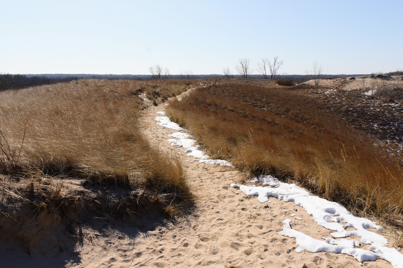 Indiana Dunes State Park 