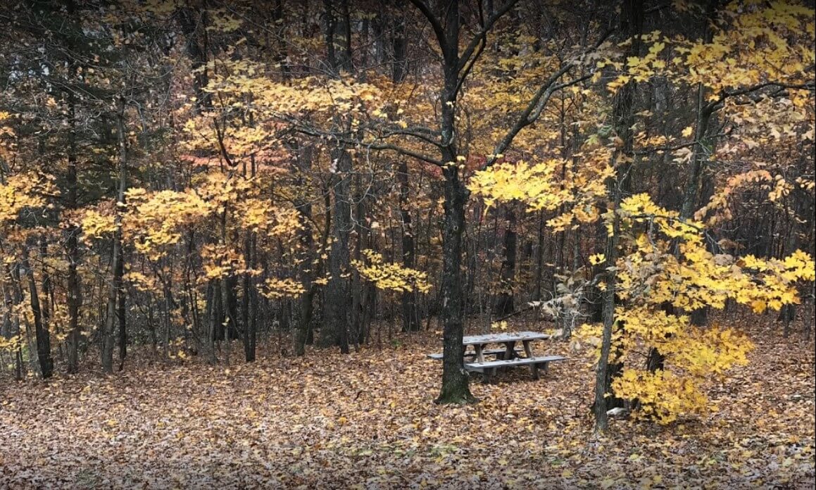 Lazy Day Campground