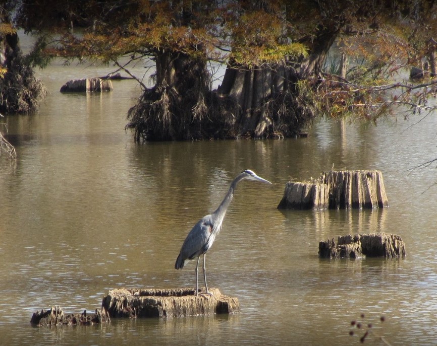 Noxubee National Wildlife