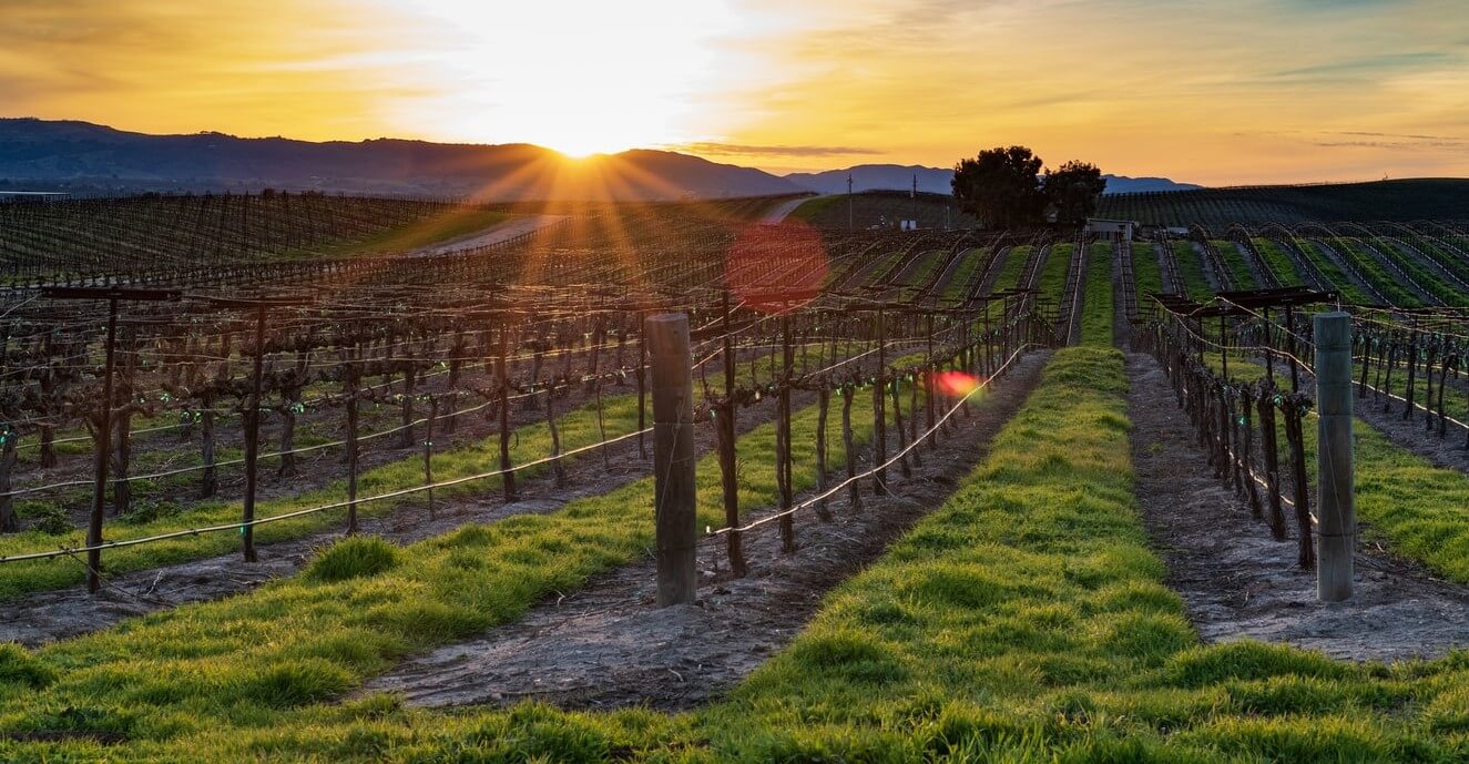 Paso Robles Wine Country California
