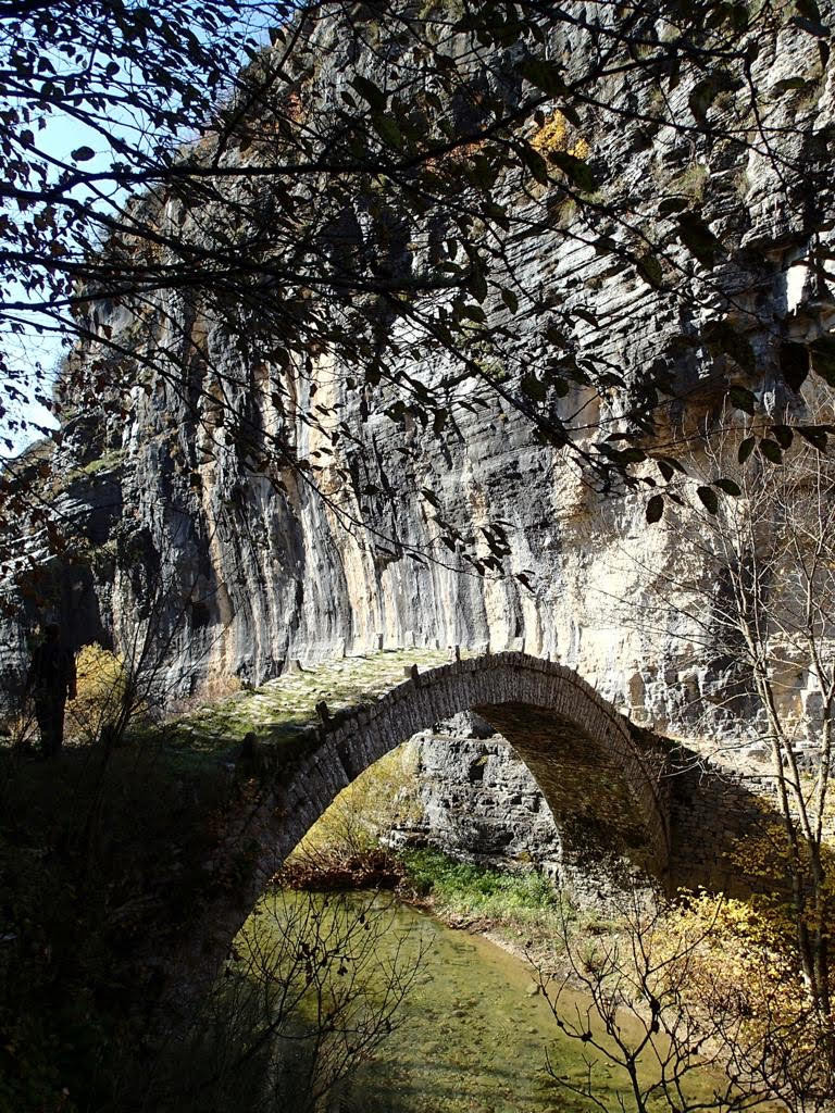 A traditional stone bridge in Zagorohoria. 
