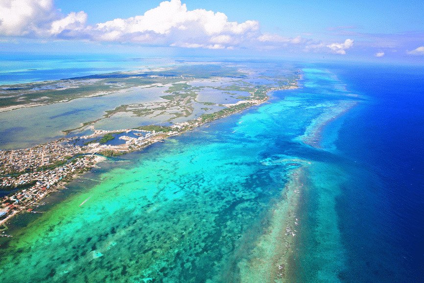 The Mesoamerican Barrier Reef | A Wonderland of Sea Life