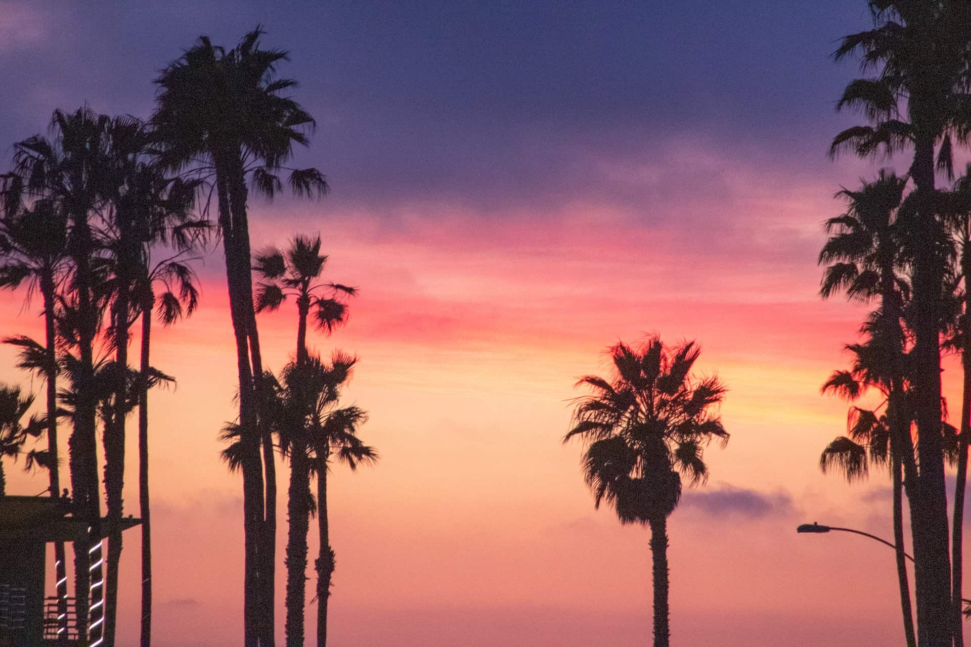 California Vibes, aesthetic, america, beach, la, night, palms