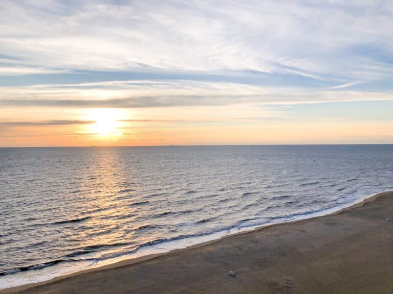 The Ultimate Guide To The Best Hikes In Virginia Beach: Explore Nature’s Beauty In Coastal Virginia