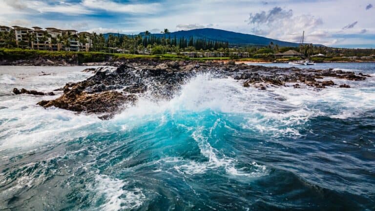 Discover The Best Beaches In Kapalua For A Perfect Tropical Getaway