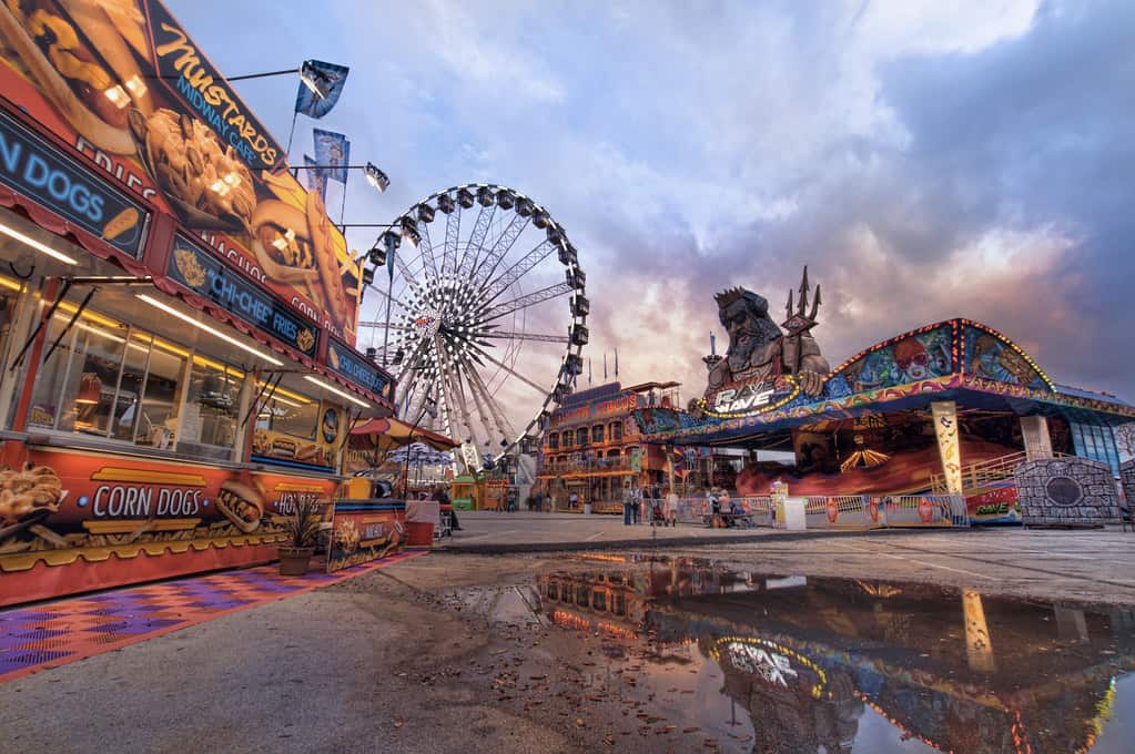 Rave Wave Ride at the Houston Livestock Show & Rodeo Carni… | Flickr