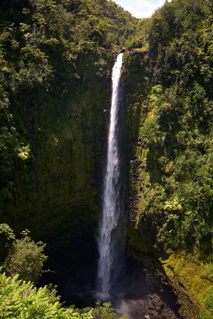 Akaka Falls, Hawaii Big Island | Pedro Szekely | Flickr