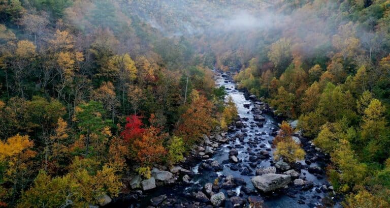 Discover ‘Almost Heaven’ on Earth: Best Things To Do in West Virginia