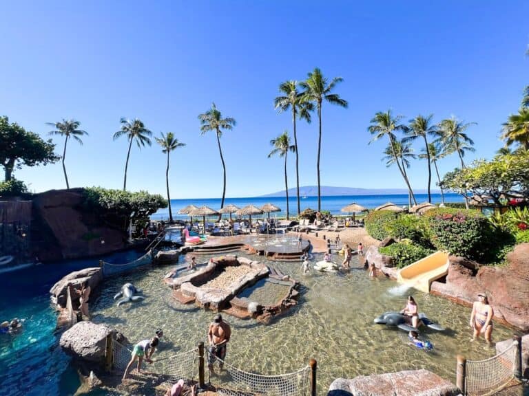Best Things to Do in Maui for an Unforgettable Family Trip