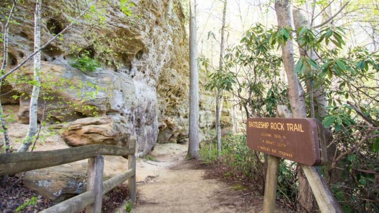 Best Hikes in Kentucky for Amazing Views